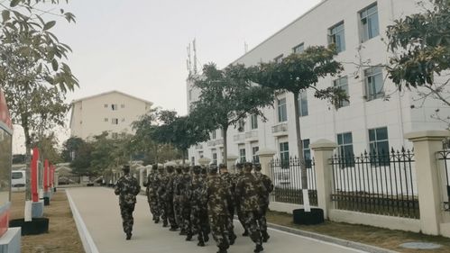 福清核電駐廠武警給大家拜年啦