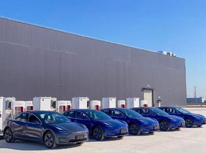 新能源汽車銷量持續暴跌,比這更可怕的是消費者信心的缺失