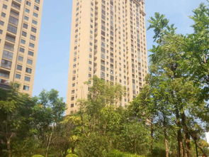 福清三福龍景,元華路8號 福州福清三福龍景二手房 租房 房價