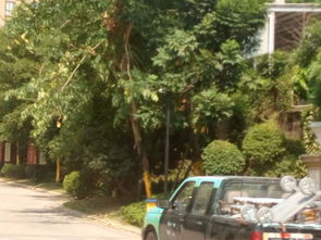 福清三福龍景,元華路8號 福州福清三福龍景二手房 租房 房價
